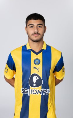 דניאל דוידי