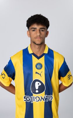 הראל בן לולו